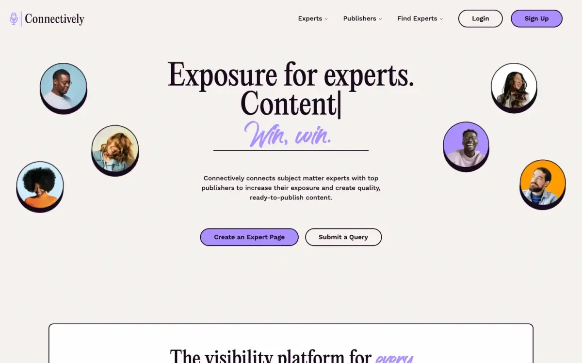 Connectively website, above the fold