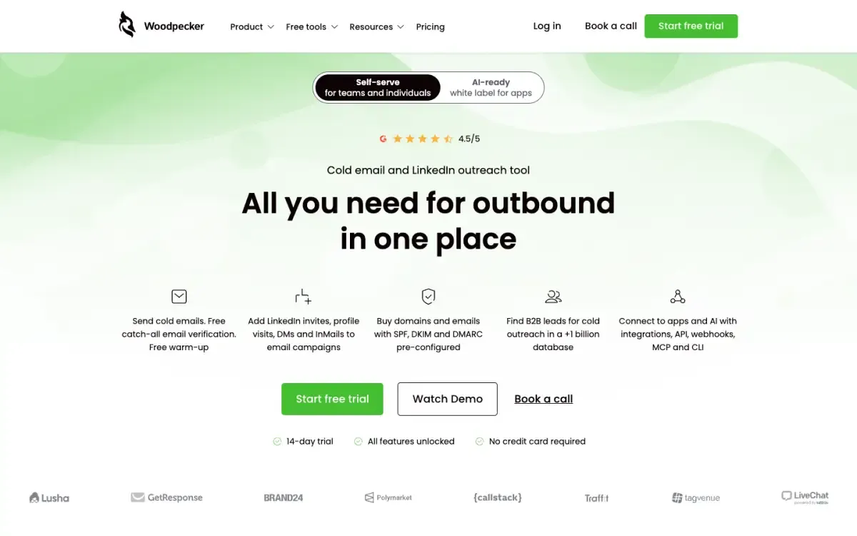 Woodpecker website, above the fold
